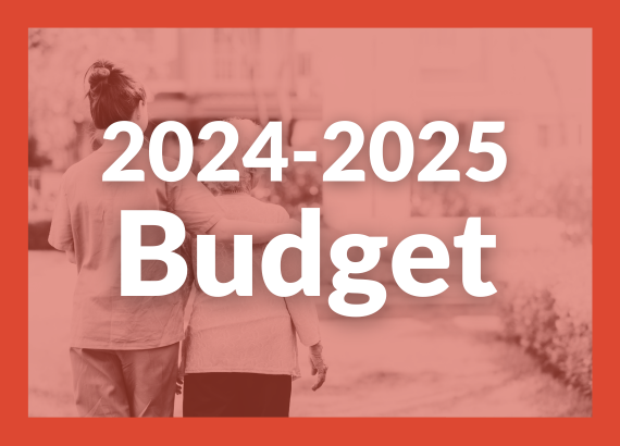 Budget 2024-2025